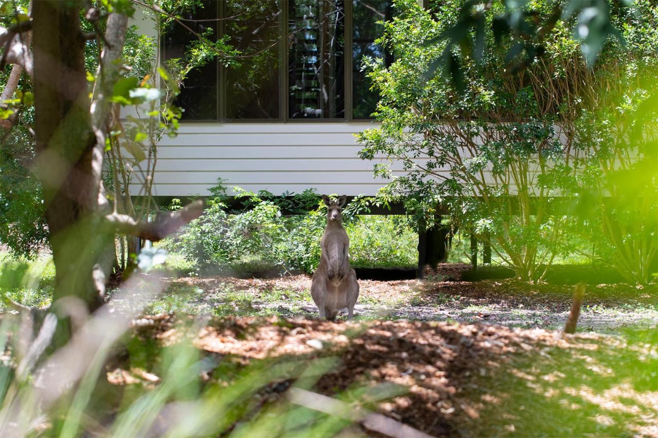 Eumarella Shores Noosa Lake Retreat Noosaville Εξωτερικό φωτογραφία