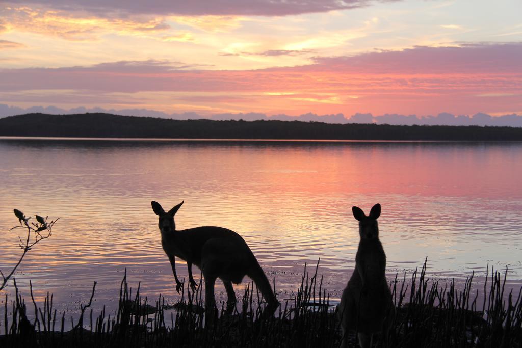 Eumarella Shores Noosa Lake Retreat Noosaville Εξωτερικό φωτογραφία