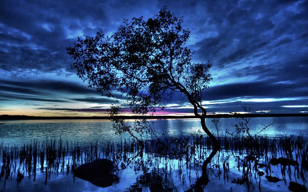 Eumarella Shores Noosa Lake Retreat Noosaville Εξωτερικό φωτογραφία
